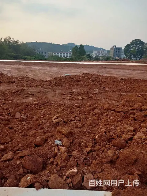 碧桂园塘岸路口附近农地入市集体土地转让岀售 - 图片 2