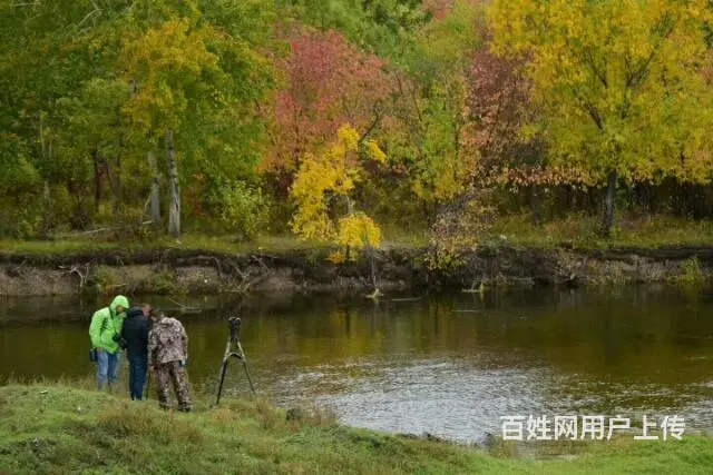 呼伦贝尔陈巴尔虎草原旅游租车价格包车师傅排名好司机 - 图片 10