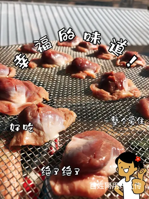 烘干鸡珍宠物零食纯手工制作 - 图片 1
