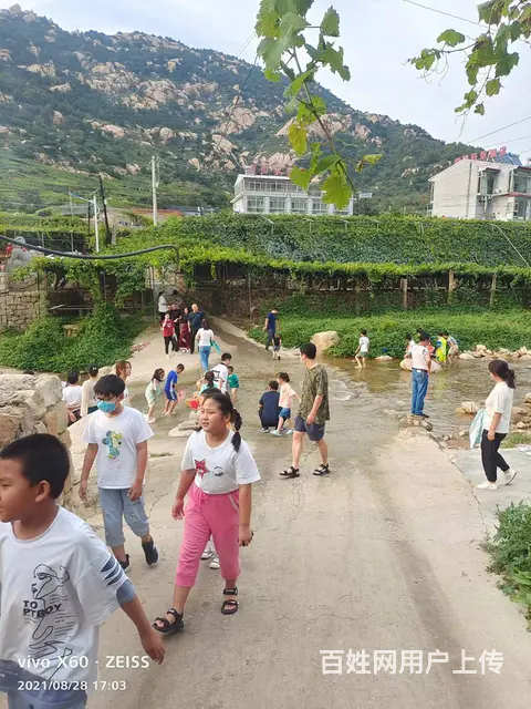 秦皇岛昌黎葡萄沟农家院烤全羊 - 图片 5