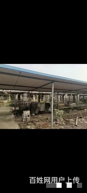 (58今铺)枣园花园村 1200平场地 适合加工厂 养殖棚等 - 图片 1