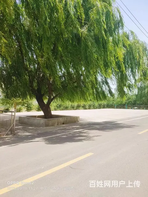 泉子光庭社区 普通住宅 毛坯房 - 图片 3