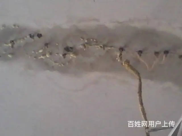 吴江松陵专业家庭漏水维修 屋顶防水 卫生间做防水 - 图片 4