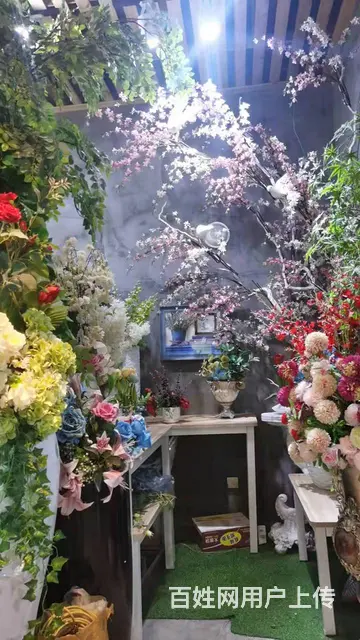 急转！毕节市黔西县莲城金街国医馆楼下55平吻合花艺 - 图片 2