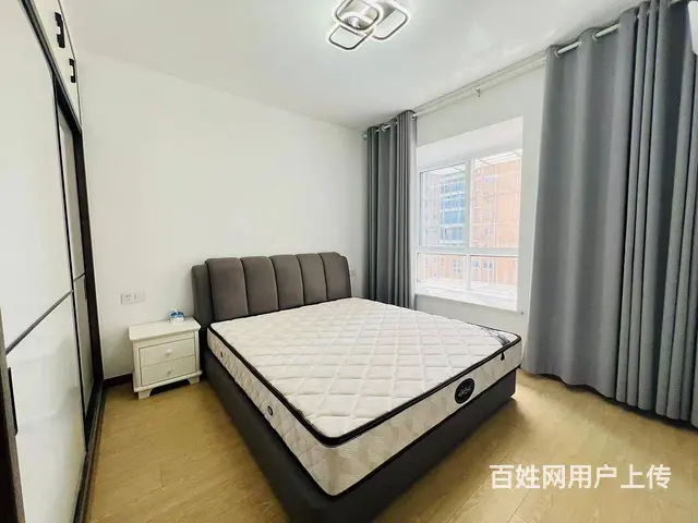 业主自住出租 沙湖港湾 东方玉龙居 金地自在城 盛 - 图片 8