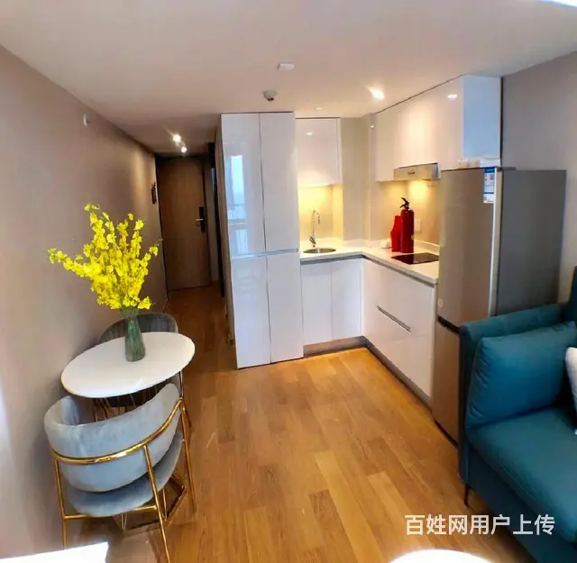 悦郡城精装1房LOFT公寓克拉天玺东渡酩悦都会风华红街公寓 - 图片 3