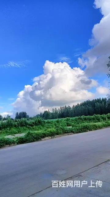 厂房出租 - 图片 4