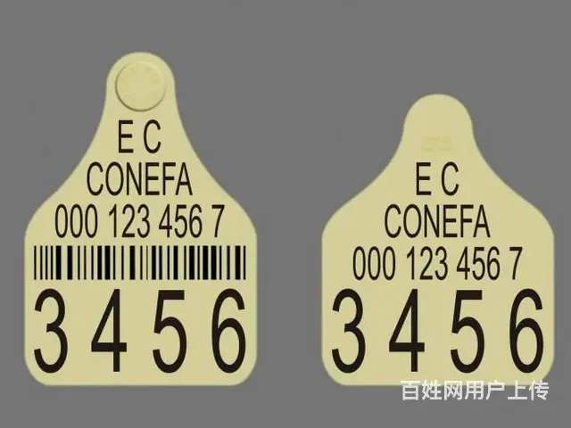 哈尔滨不锈钢金属激光刻字激光打标激光印字 - 图片 4