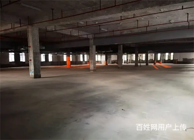 (麦子邦面费找店)房东直租,全新厂房大空间,可整租可分租! - 图片 3