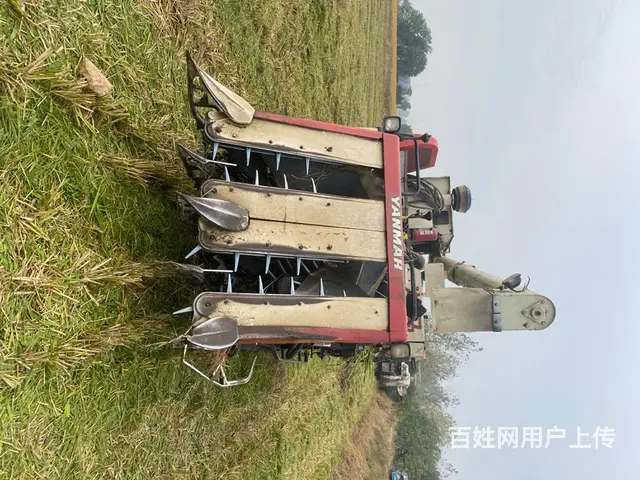 2015年600，原厂高位，全车巳经保养，不跨区 - 图片 2