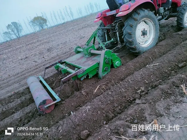 俩垄双旋 - 图片