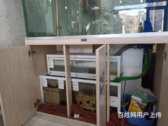 出售底滤鱼缸 - 图片 2