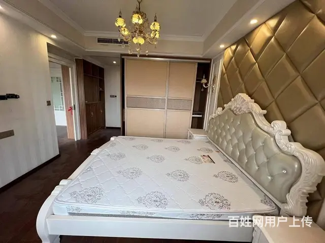 居家陪读近武汉站 杨春湖实验学校 钢城十二小 杨春 - 图片 11