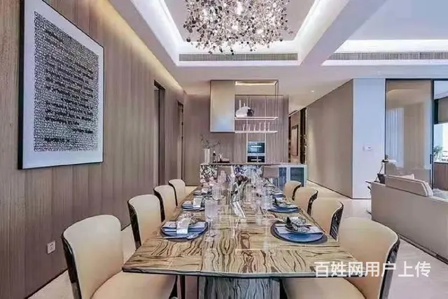 奥体朝龙汇大平层公馆主力户型420方460方520方豪装江景 - 图片 10