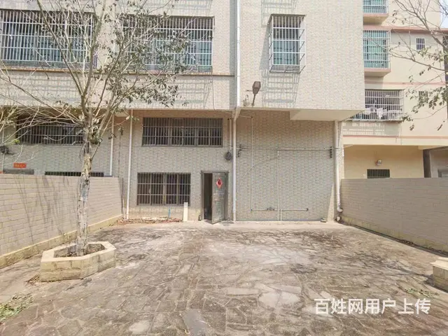 （51旺铺推荐）龙华区龙桥镇950平整栋出租 - 图片 6