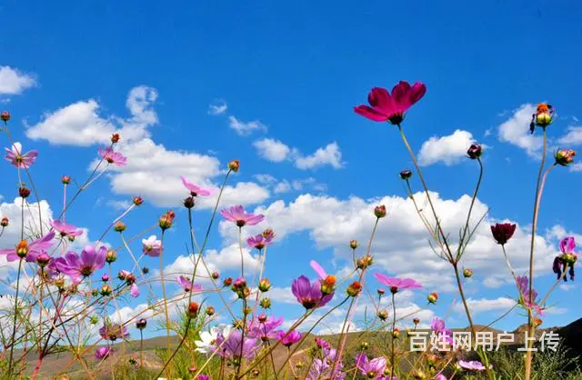 克旗经棚镇出租车摄影旅游 - 图片 4
