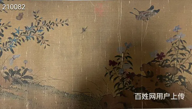 宋 赵佶山花舞蝶图精品卷 画心题跋总长 512×3 - 图片 6