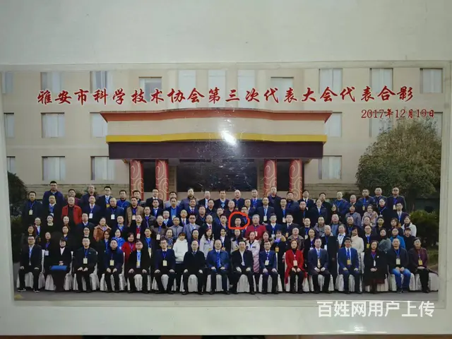 大学志愿专业职业咨询 - 图片 3