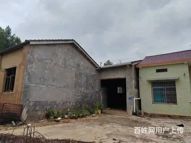 （老板本人）宁乡花明楼高速口附近厂房仓库房东低价出租6738 - 图片 4