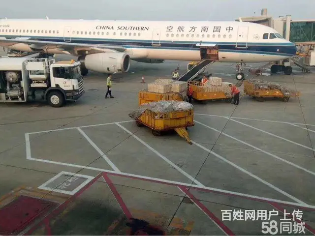 揭阳空运 航空货运 五金空运宠物空运鱼苗空运月饼空 - 图片 5