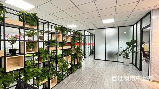 万绿园 朗庭酒店220平，直租8000元 - 图片 4