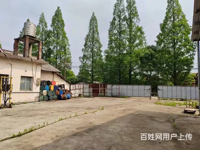 （老板本人）开福区开福大道捞刀河独门独院场地出租  6550 - 图片 4