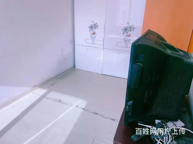 九洲松鹤4楼500两室一厅可以月租 - 图片 5