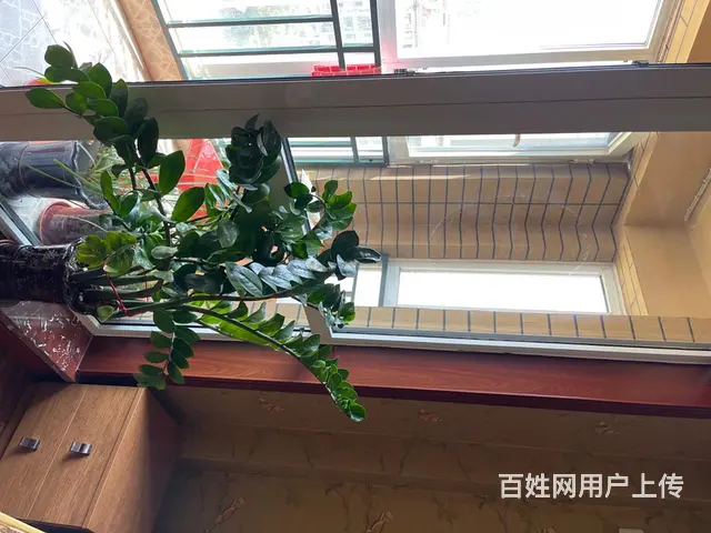 仁达华府吉屋出售 - 图片 9