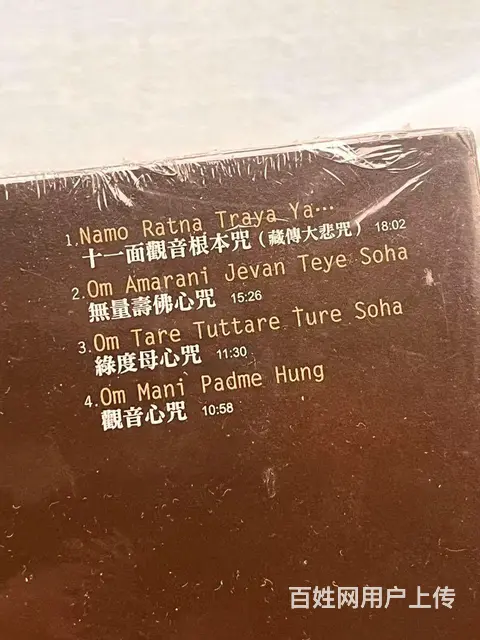 Ani Choying Drolma 琼英卓玛 - 图片 7