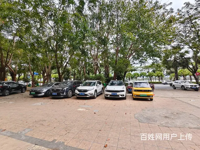 （51旺铺推荐）凤凰路280平临街超大门面旺铺出租 - 图片 8