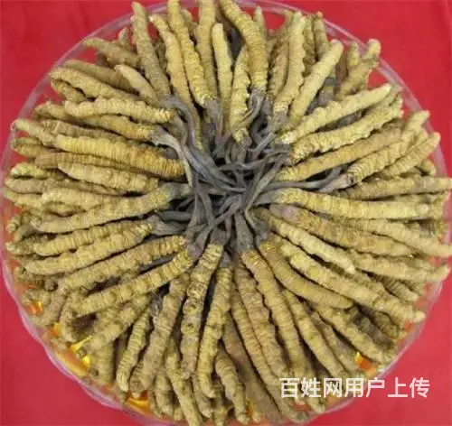 天河冬虫夏草回收价格-天河回收礼盒装虫草咨询 - 图片 9