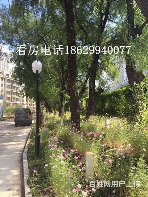 解放路旁】零首付】毛坯现房】南北通透】楼层可选 - 图片 7