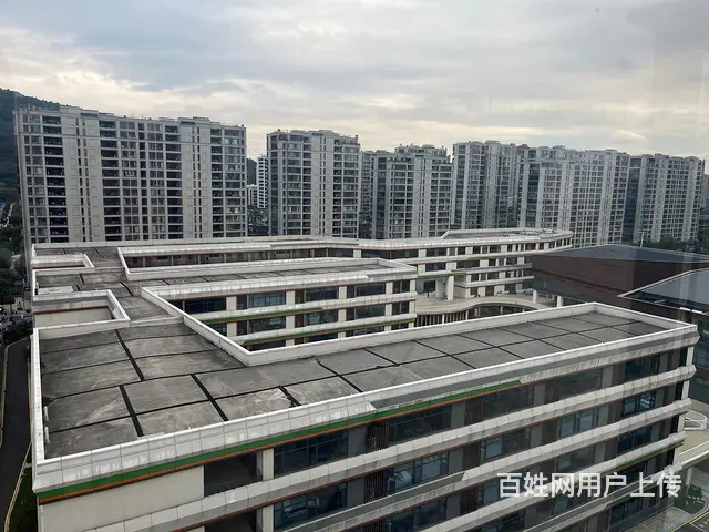 蔬菜摊位 - 图片 7