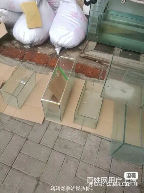 9041653 - 图片 5