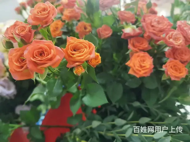 苏州吴中花艺师插花线下培训哪里比较好 - 图片 2