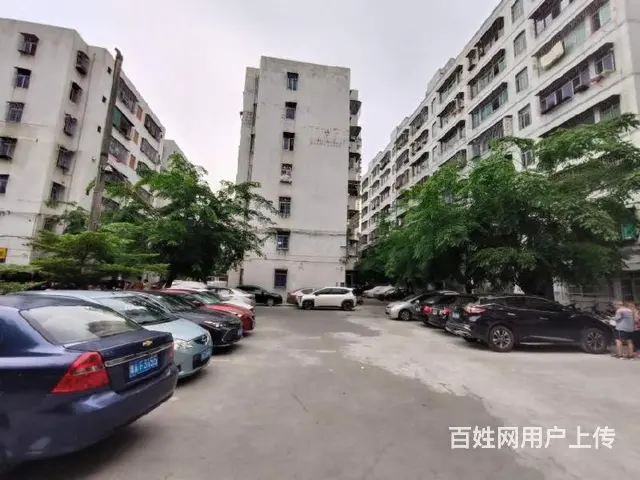 培龙市场对面     铸管厂宿舍3房 - 图片 10