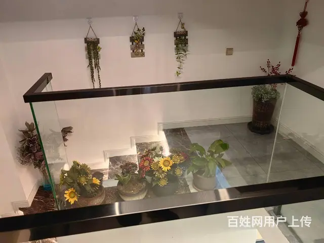 【搞定了！】急转！南州国际御都府十栋1-15号益齿堂，有45 - 图片 5