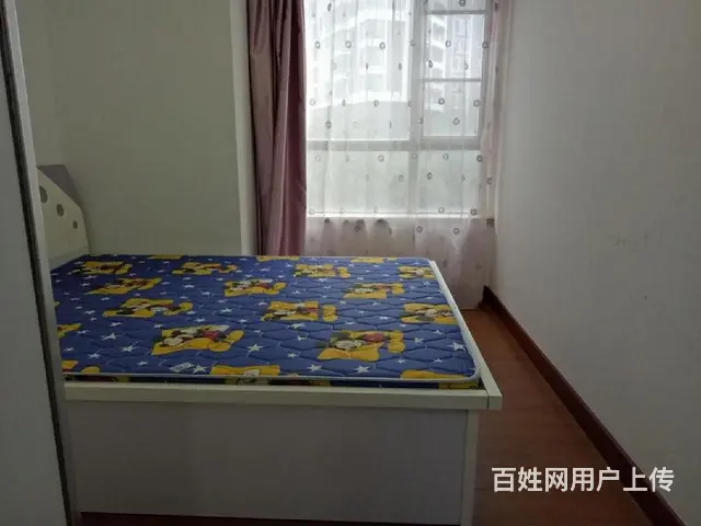 鸿泰80 新香洲电梯一房一厅拎包入住配套成熟 - 图片 3