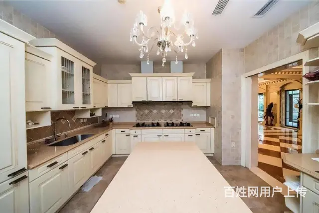 豪装水系独栋，小区中心无大税，超大花园，3门车库。 - 图片 10