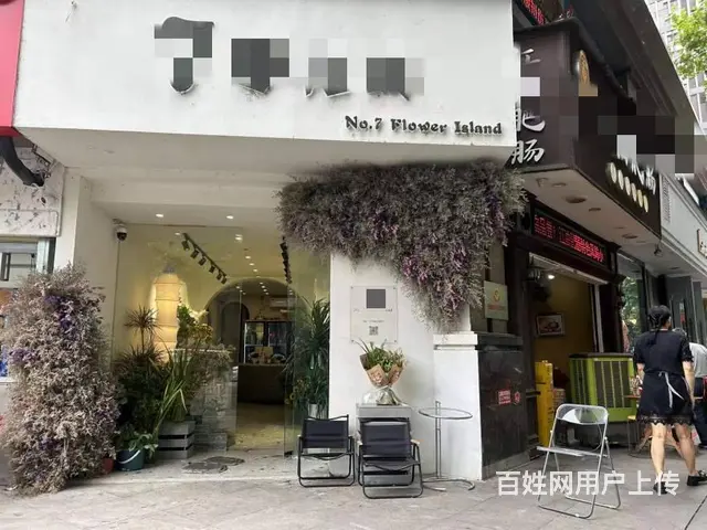 （兴铺）跃进路长虹国际城转角花店整转空转 - 图片 3