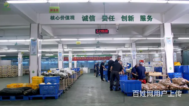 一站式蔬菜供应配送，广州食堂食材采购供应公司 - 图片 2