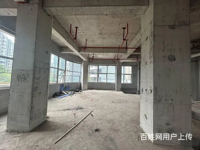 （老板本人）湘域国际广场临街商业综合体招租6842 - 图片 10