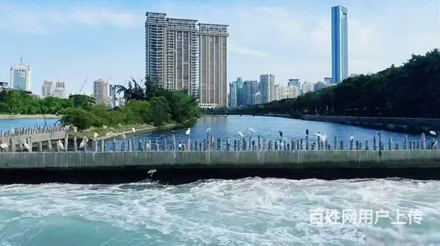厦门豪宅新房：尽享湖、海、山、城、岛、园等六重盛景 - 图片 5