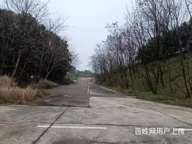 （老板本人）大型水泥坪硬化场地出租（可分租）  6078 - 图片 3