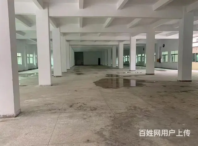 国有红本小独院厂房出售，台湾人年纪大退休回台 - 图片 9