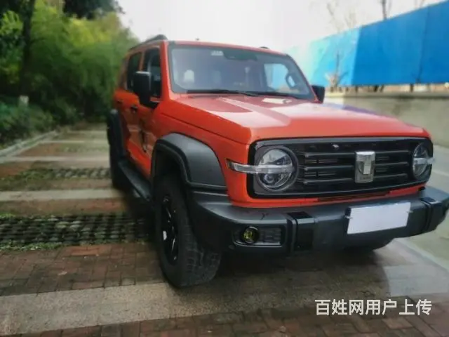坦克300现车 - 图片 7