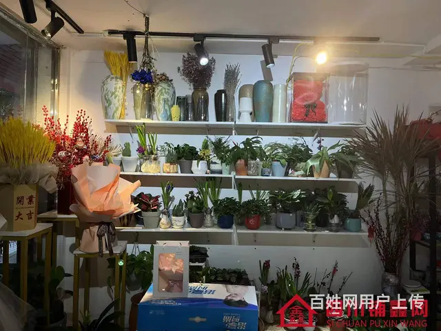 （四川铺鑫网）巴州区丽景天城40㎡鲜花店转让 - 图片 5
