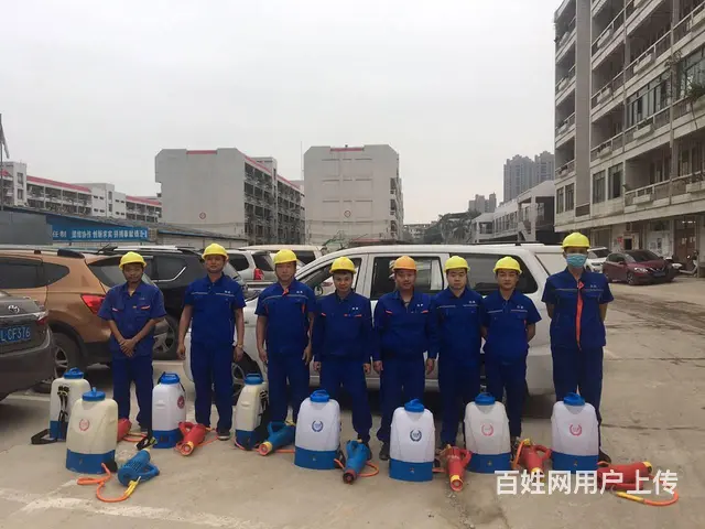 清远除甲醛、净化空气、灭虫，灭鼠，24小时上门服务 - 图片 8