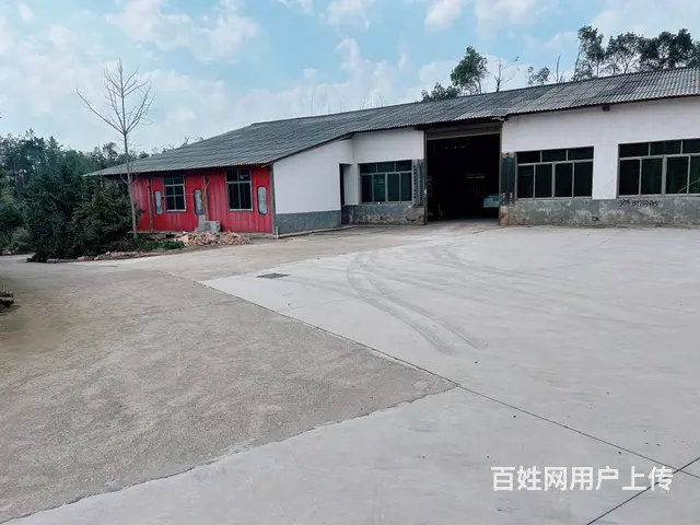 （老板本人）望城319国道边独门独院厂房仓库出租  5942 - 图片 2