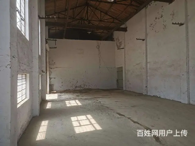 海虞周行单层800+600平，高5.2米，适合各种仓库小加工 - 图片 3